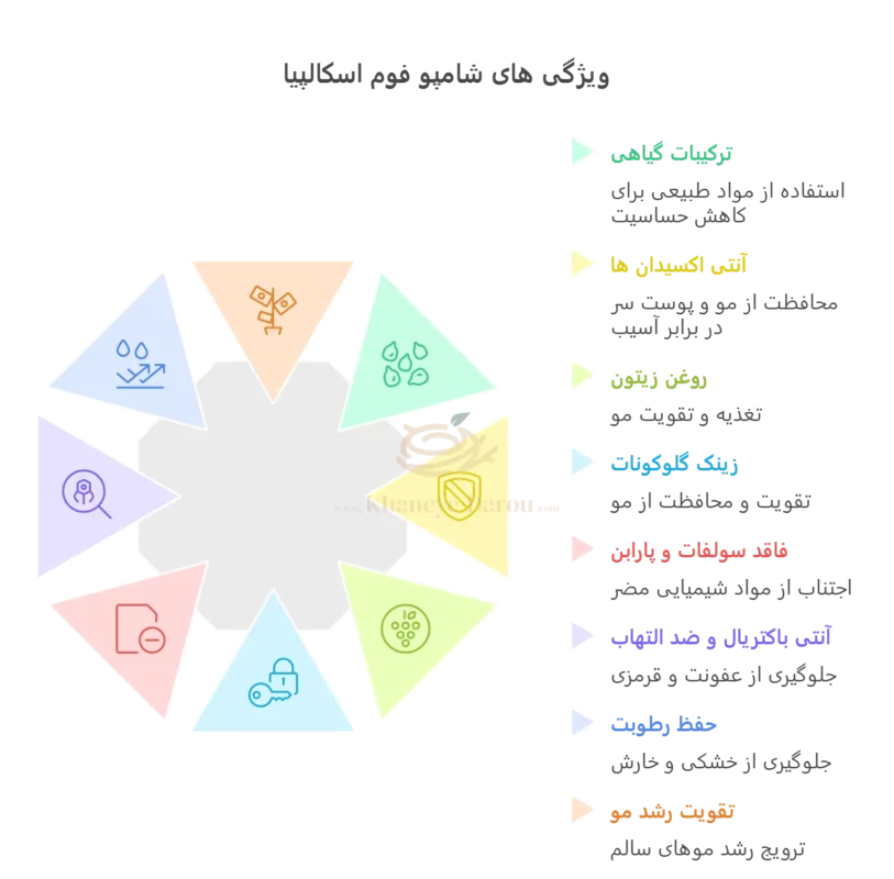 GENTLE FOAM SHAMPOO AFTER HAIR TRANSPLANT SCALPIA info e1757171195218