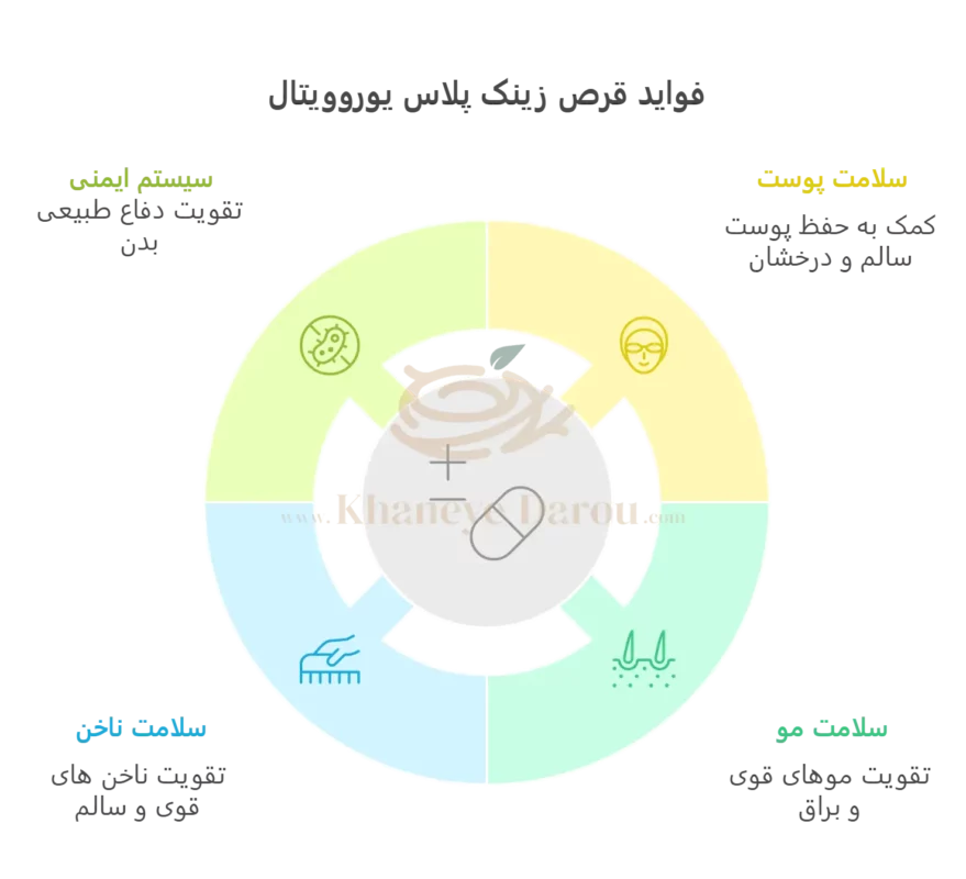 قرص زینک پلاس 15 میلی گرم یوروویتال ۶۰ عدد 4 EURHO VITAL ZINC PLUS 15 infographic