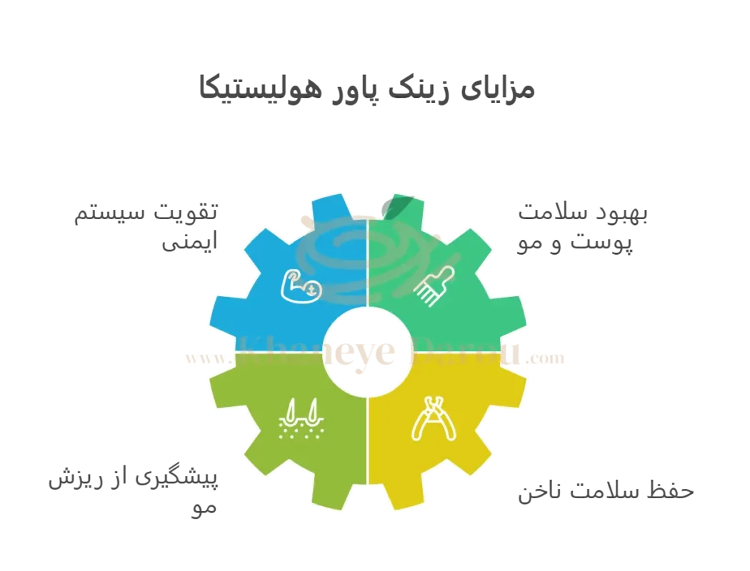 کپسول زینک پاور هولیستیکا 3 Holistica Zinc Power 32 Caps info