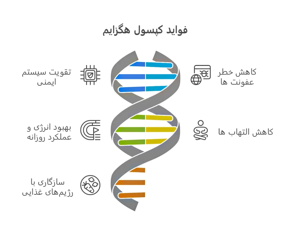 کپسول هگزایم 500 میلی گرم 2 فواید کپسول هگزایم 500 میلی گرم