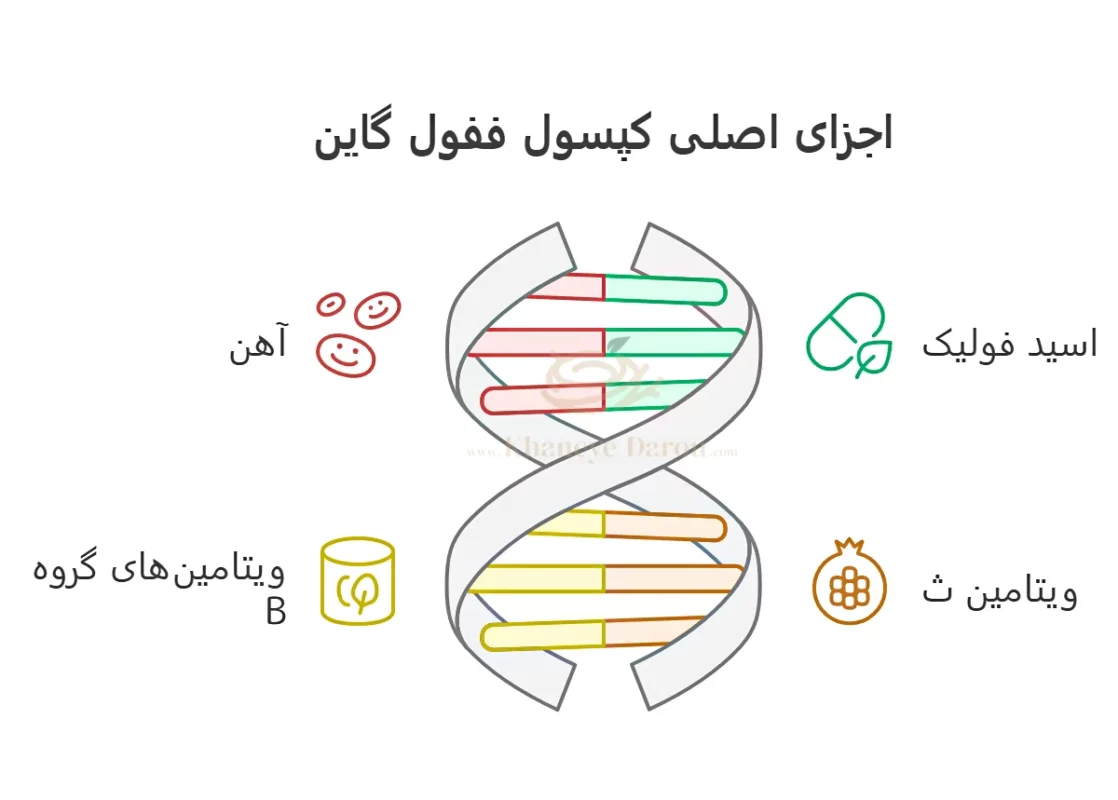 کپسول ففول گاین 2 ترکیبات کپسول ففول گاین