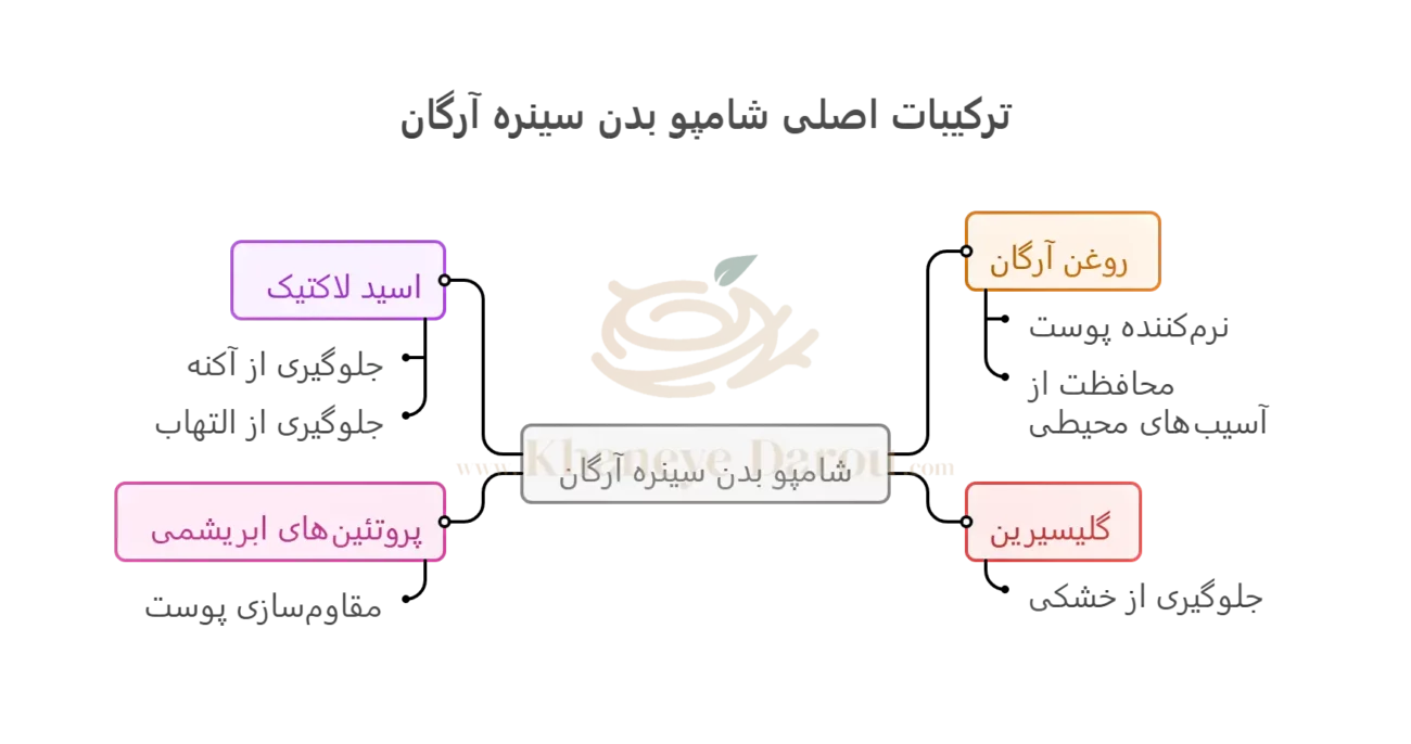 شامپو بدن سینره آرگان بانوان 2 ترکیبات شامپو بدن سینره آرگان بانوان