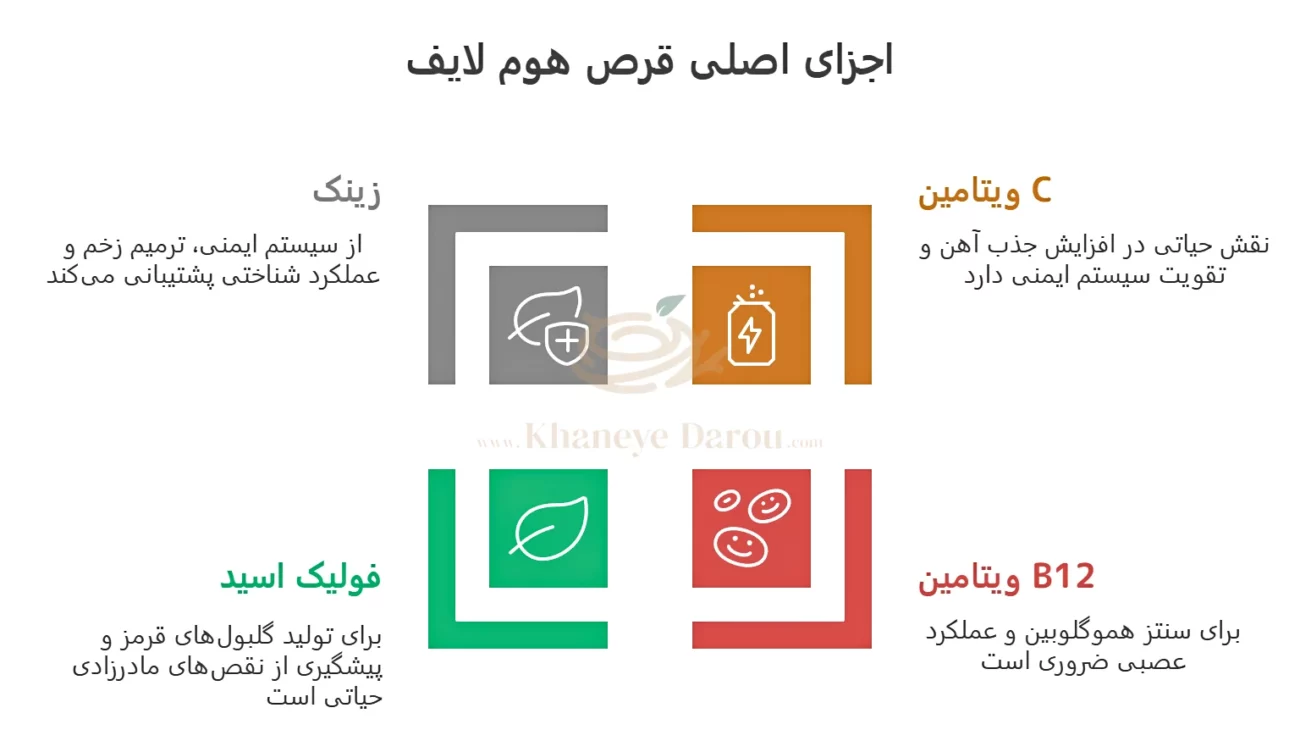 قرص هم لايف 3 اجزا اصلی قرص هم لايف
