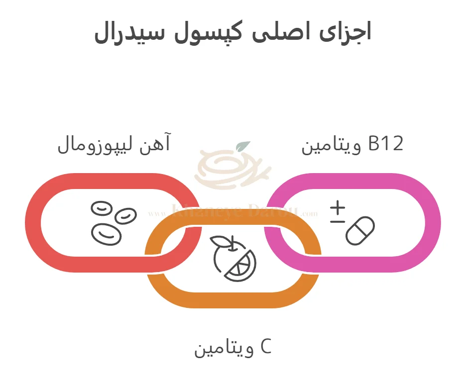 کپسول سیدرال کلاسیک 3 اجزا اصلی کپسول سیدرال کلاسیک